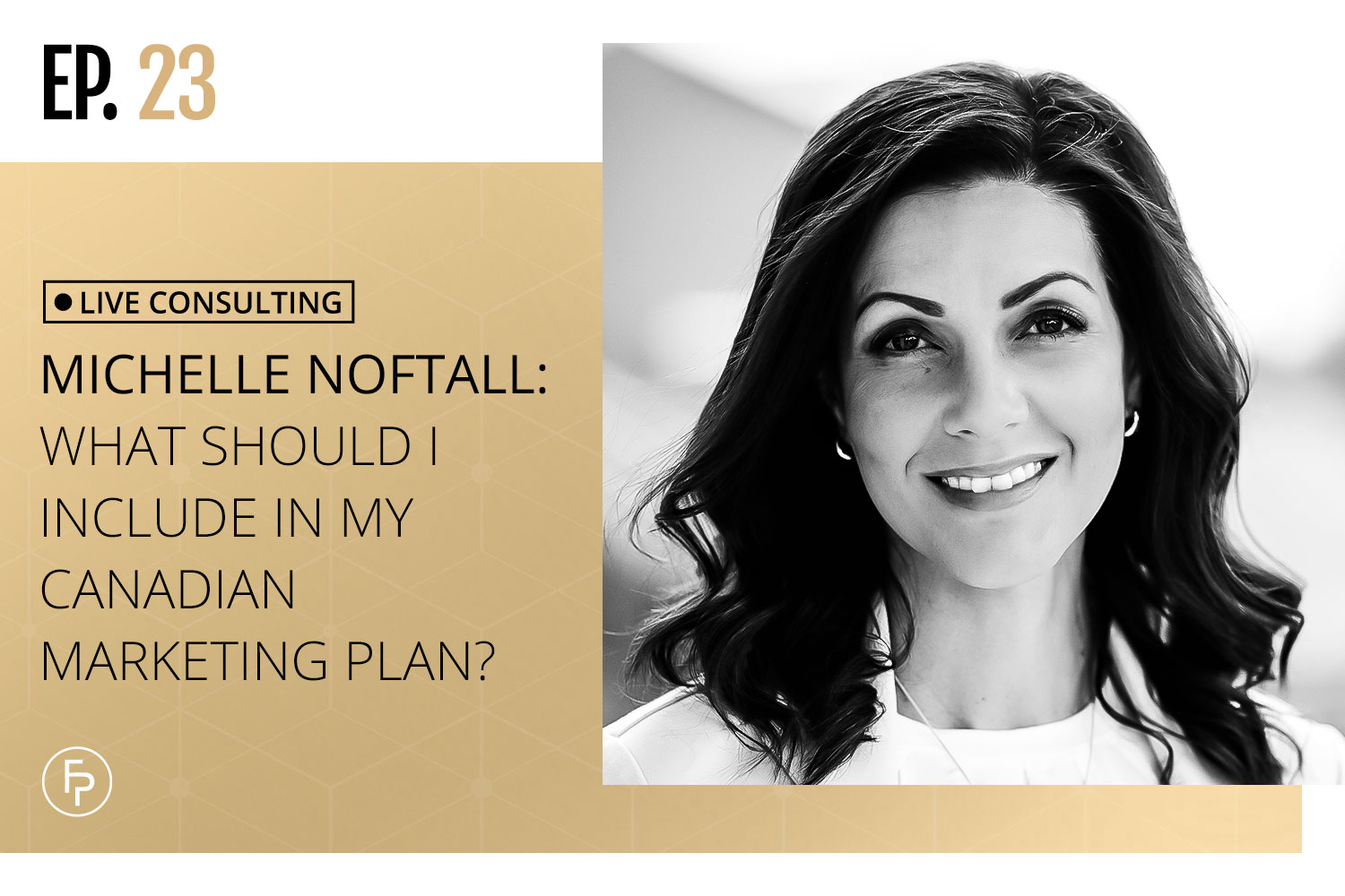 What Should I Include in My Canadian Marketing Plan?: Live Consultation With Michelle Noftall | EP 23